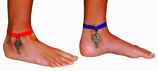 bild-03.gif