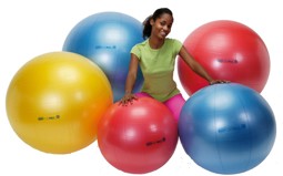 Zeige Details für Gymnic Body Ball  Bild von Gymnic Body Ball
