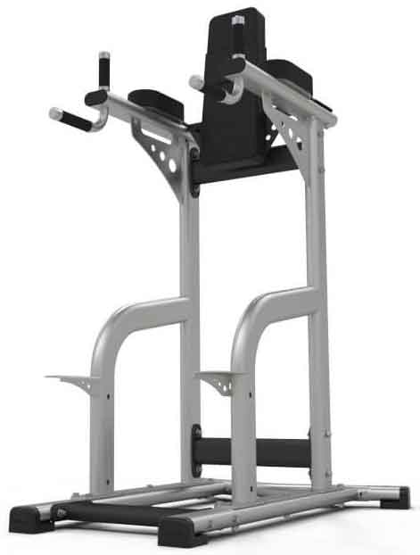 Bild von Exigo Leg Raise / Dip Station Model 2018