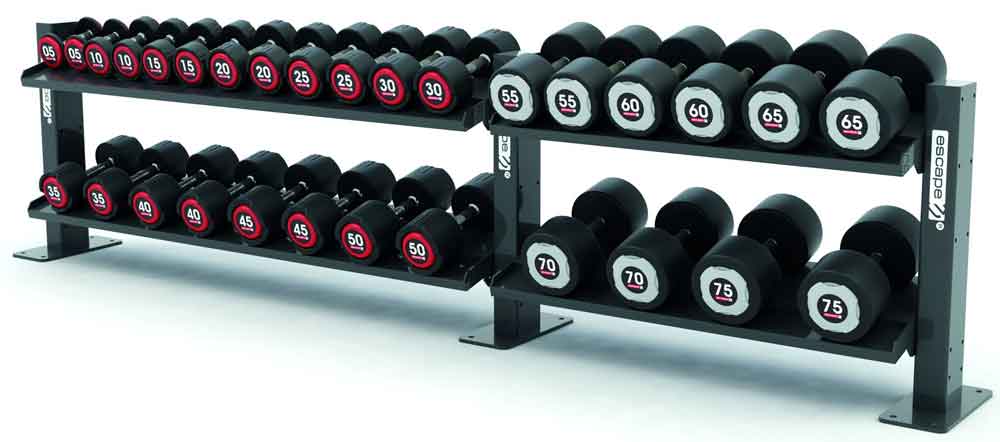 Picture of Escape Octagon Dumbbell Racks