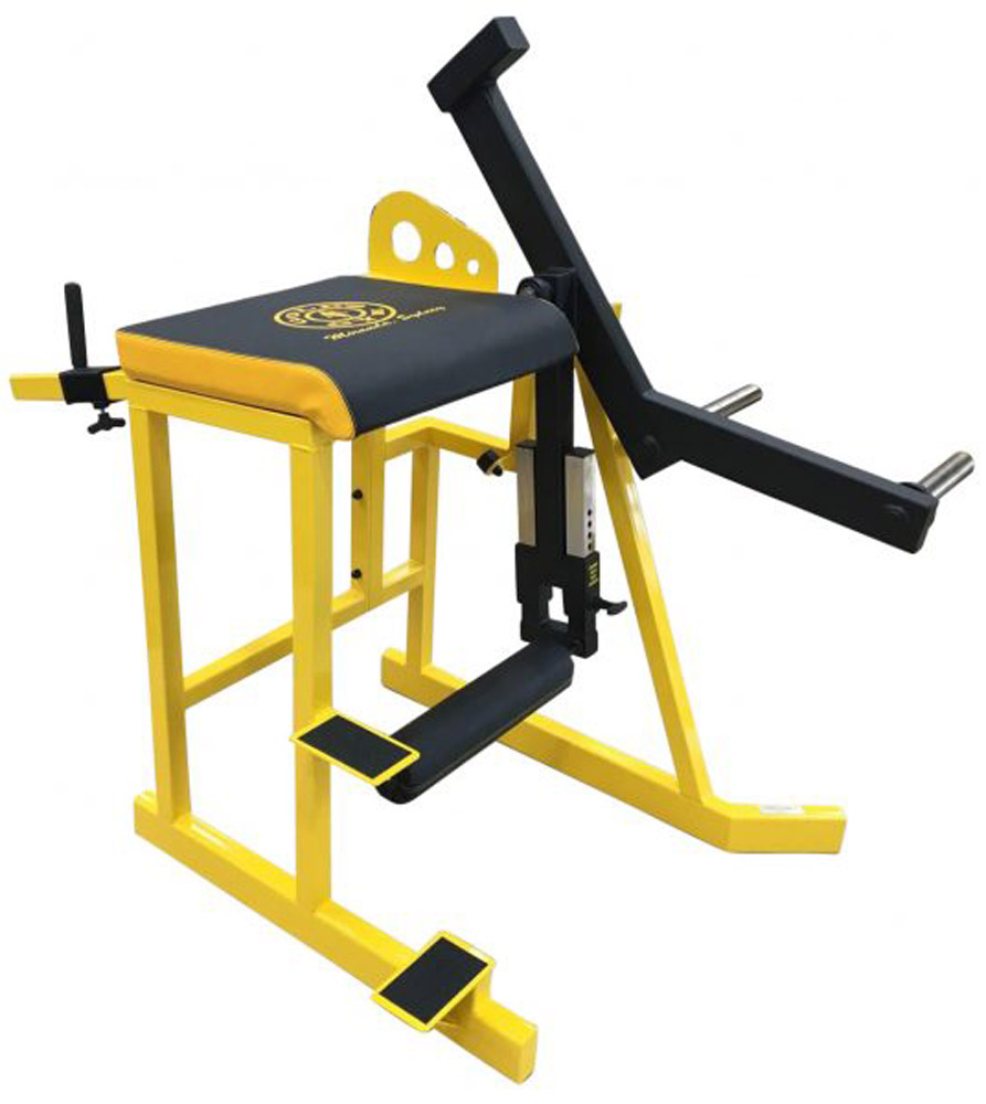 Bild von Watson Deluxe Reverse Hyper Extension - Plate Loaded
