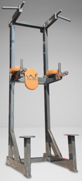 Zeige Details für Watson Freestanding Chin / Dip / Leg Raise Bild von Watson Freestanding Chin / Dip / Leg Raise
