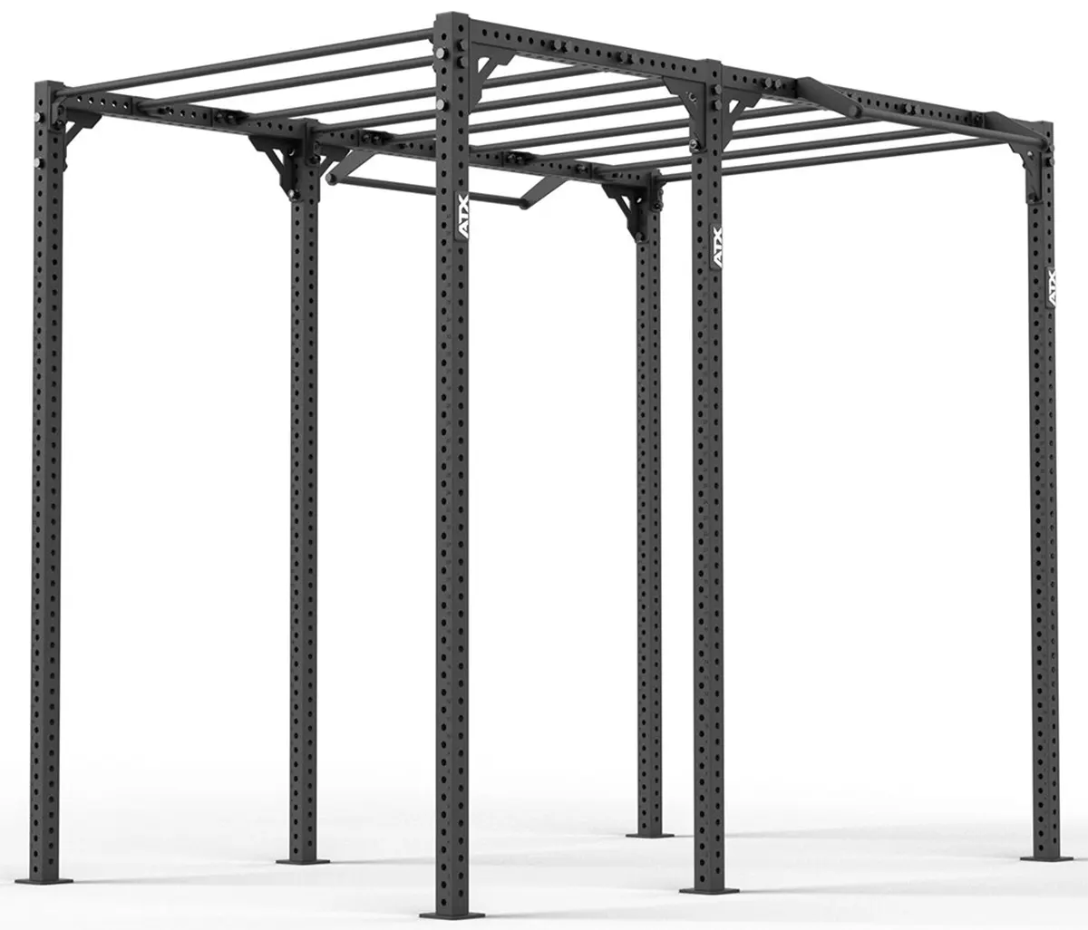 Bild von ATX® Functional RIG 700 - Ladder 2